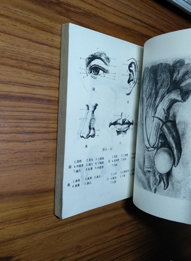 994f3bea7670bd95_b.jpg 994f3bea7670bd95_b.jpg