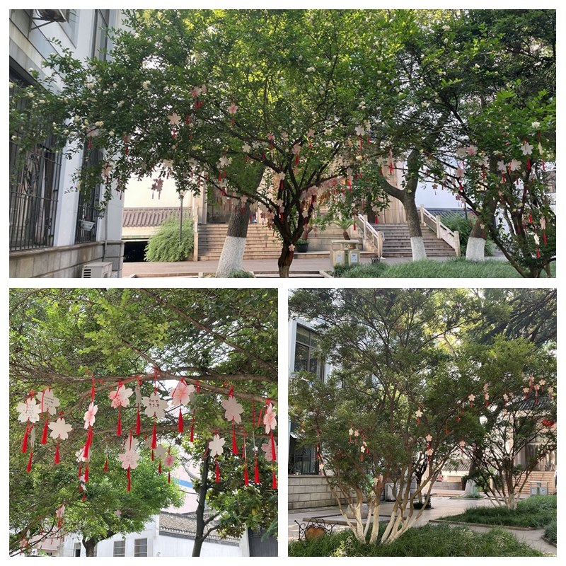 光影魔术手拼图.jpg