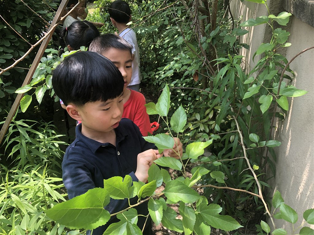 六一 新闻IMG_0977.JPG