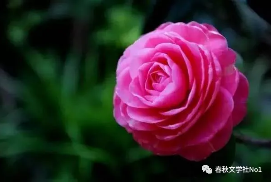 QQ图片20210510110149.png QQ图片20210510110149.png