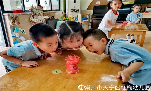 QQ图片20210607065422.jpg