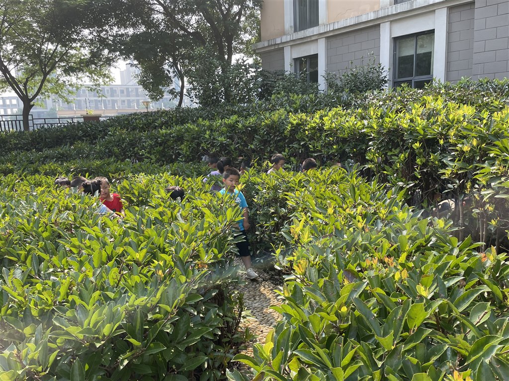 参观4.jpg