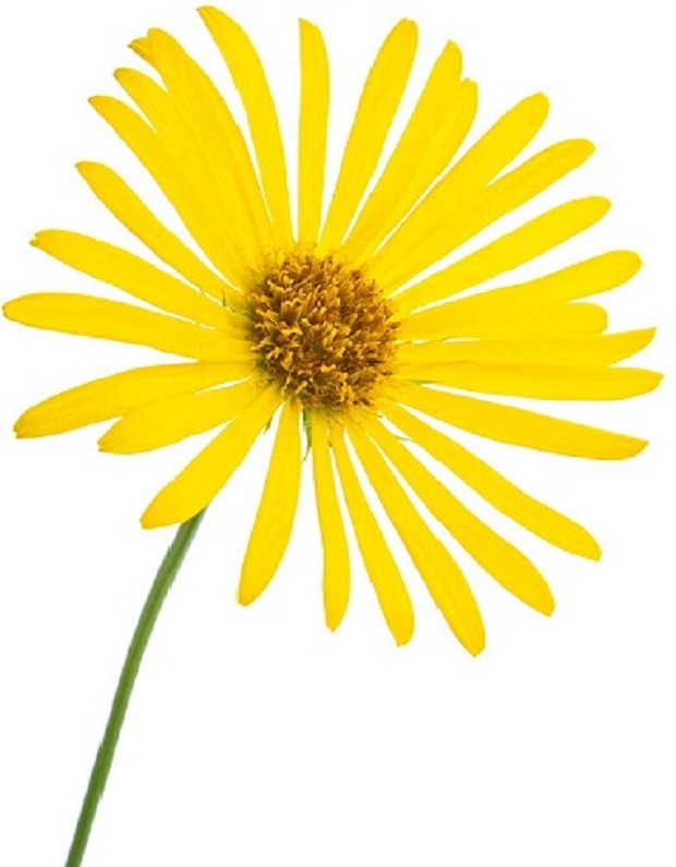 一5班徽.jpg 一5班徽.jpg