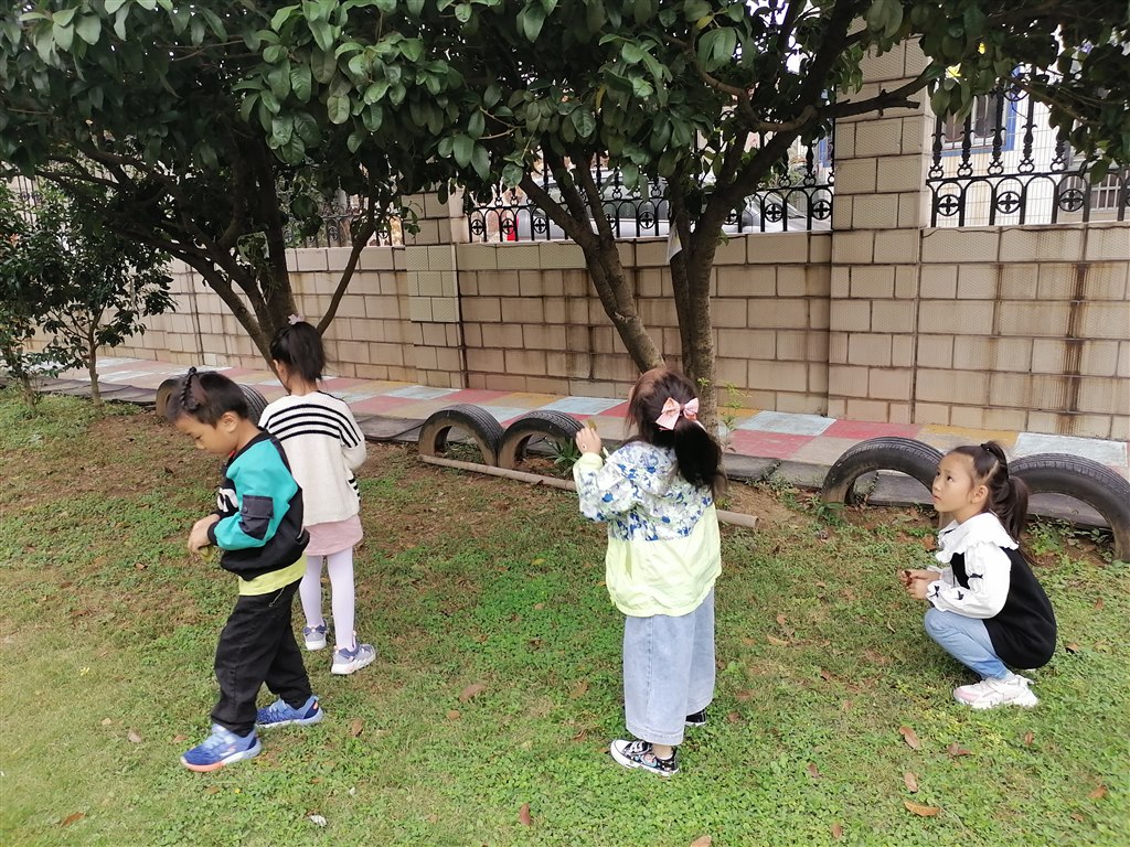 IMG_20211013_112632.jpg