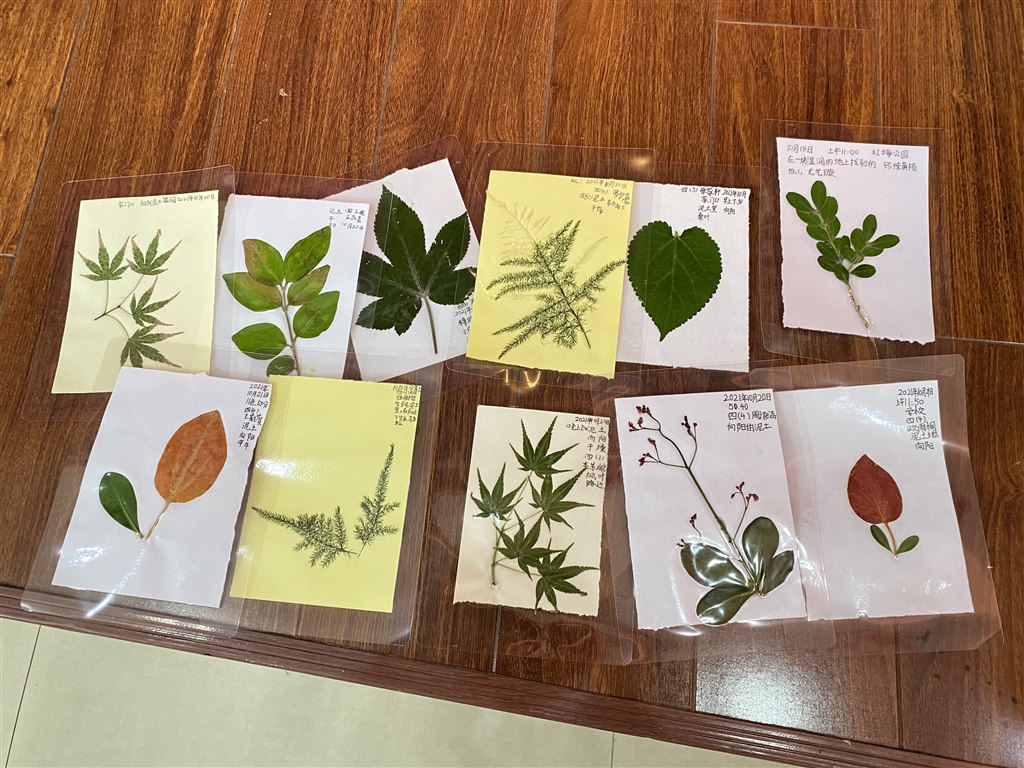 微信图片_20211021144924.jpg