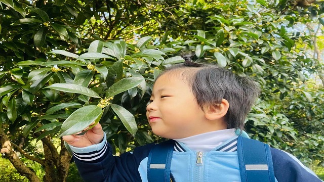 微信图片_202110221546473.jpg