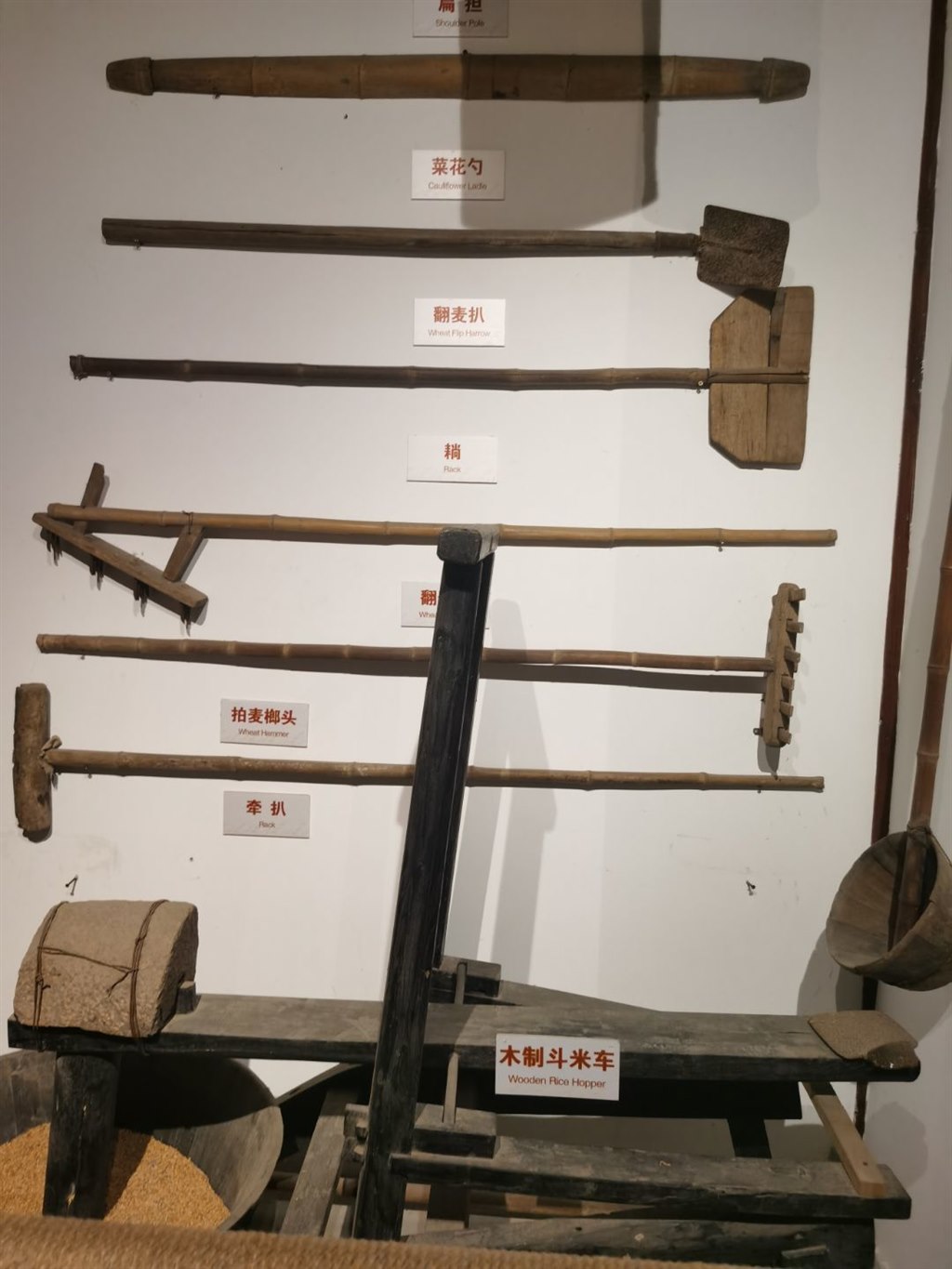 找一找图片4.jpg