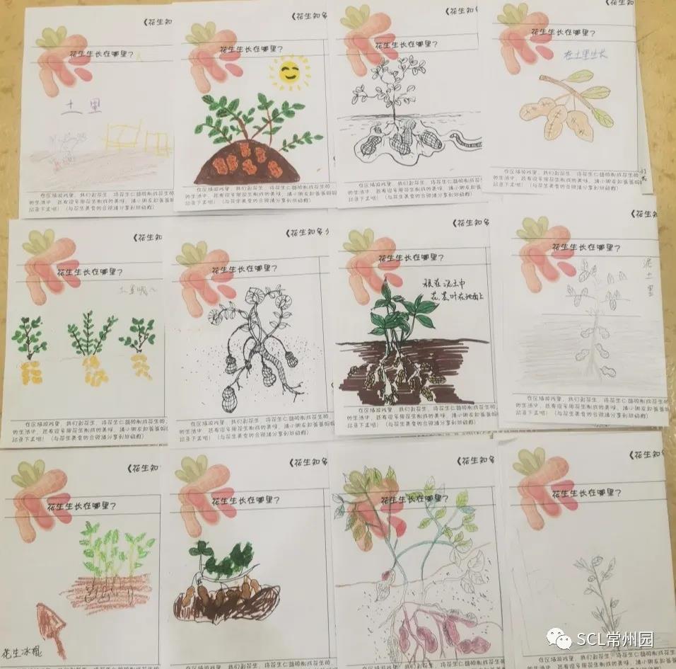 微信图片_20211029103730.jpg 微信图片_20211029103730.jpg