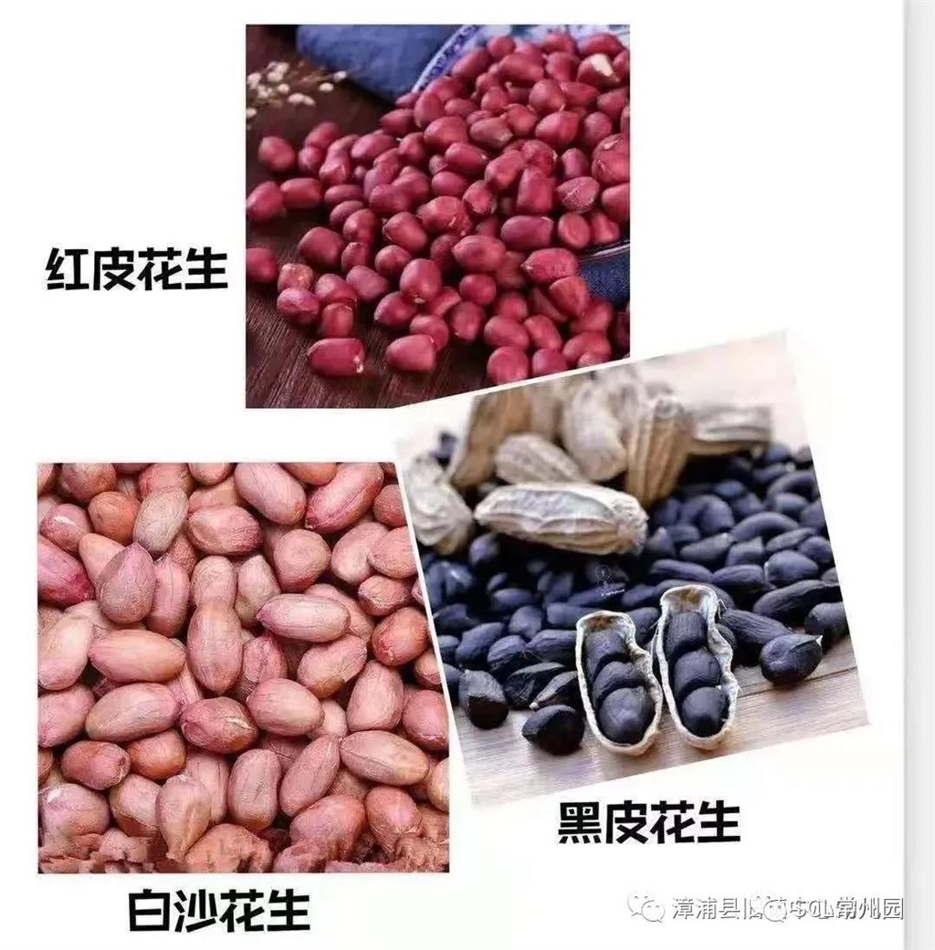 微信图片_20211029103926.jpg 微信图片_20211029103926.jpg