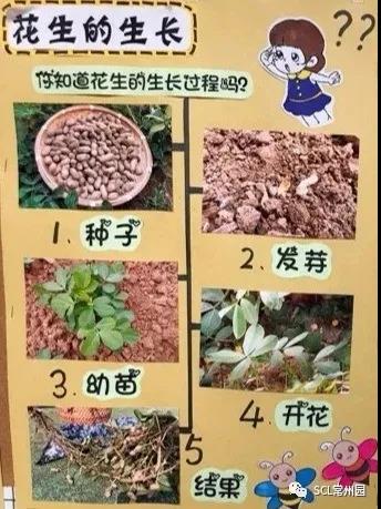 微信图片_20211029105204.jpg