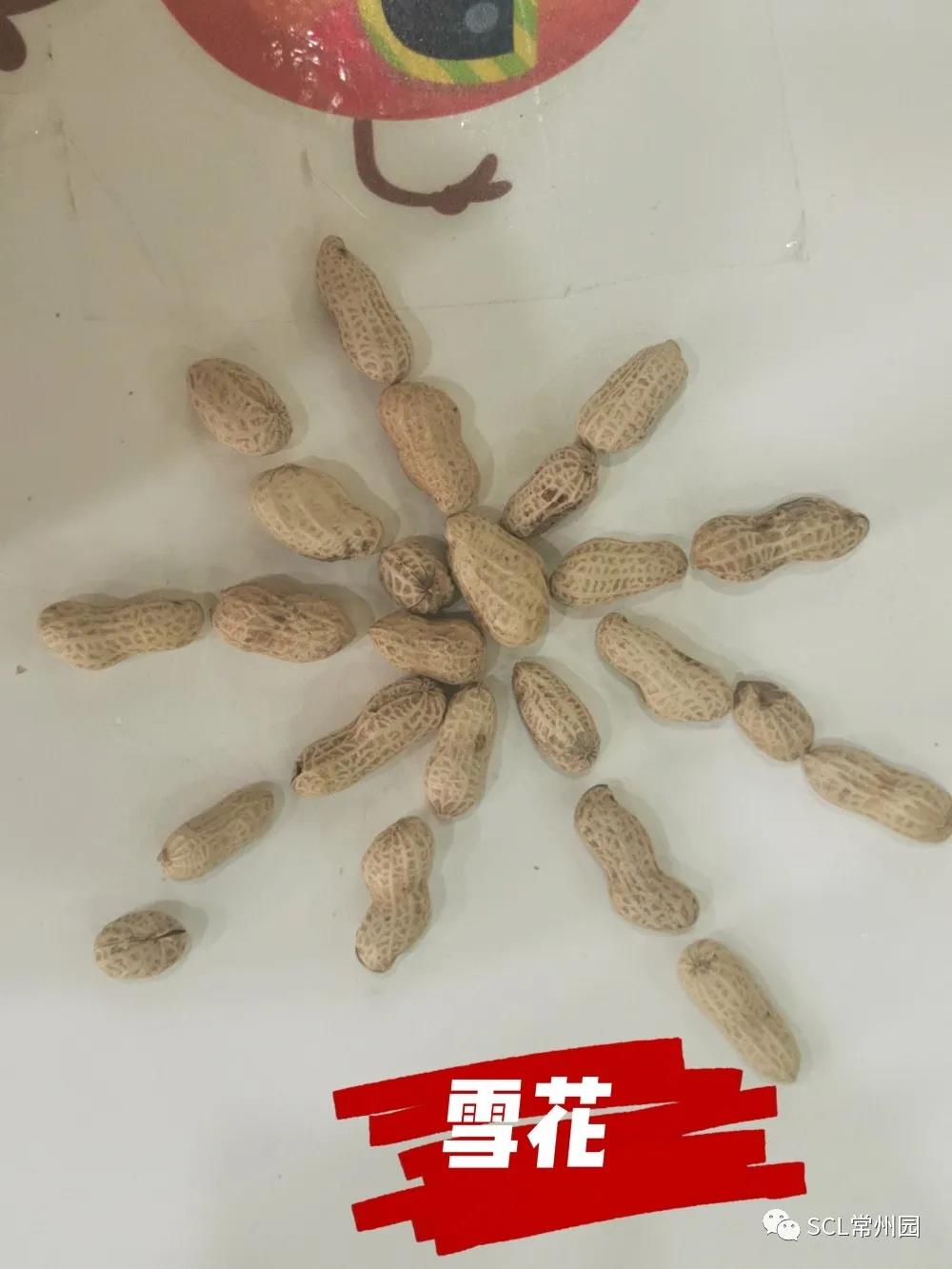 微信图片_20211029104800.jpg