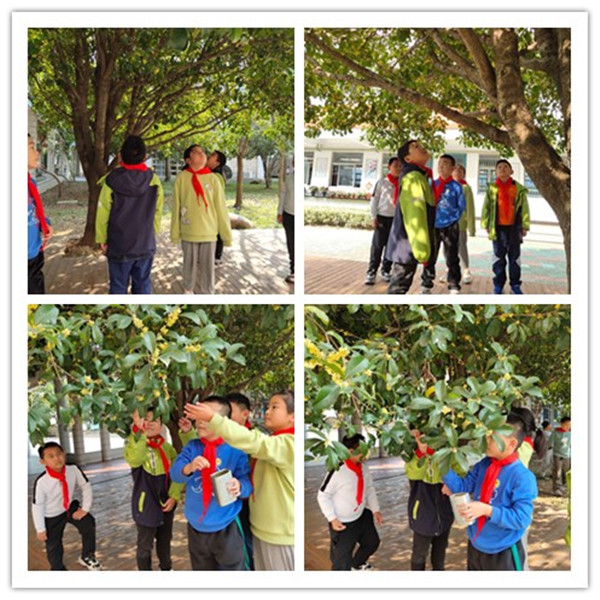 图片1.jpg 图片1.jpg