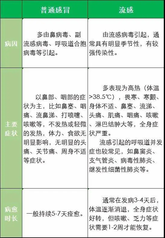 感冒和流感的区别.webp.jpg