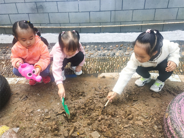 QQ图片20211030203114.jpg