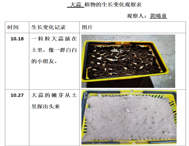 图片11.png 图片11.png