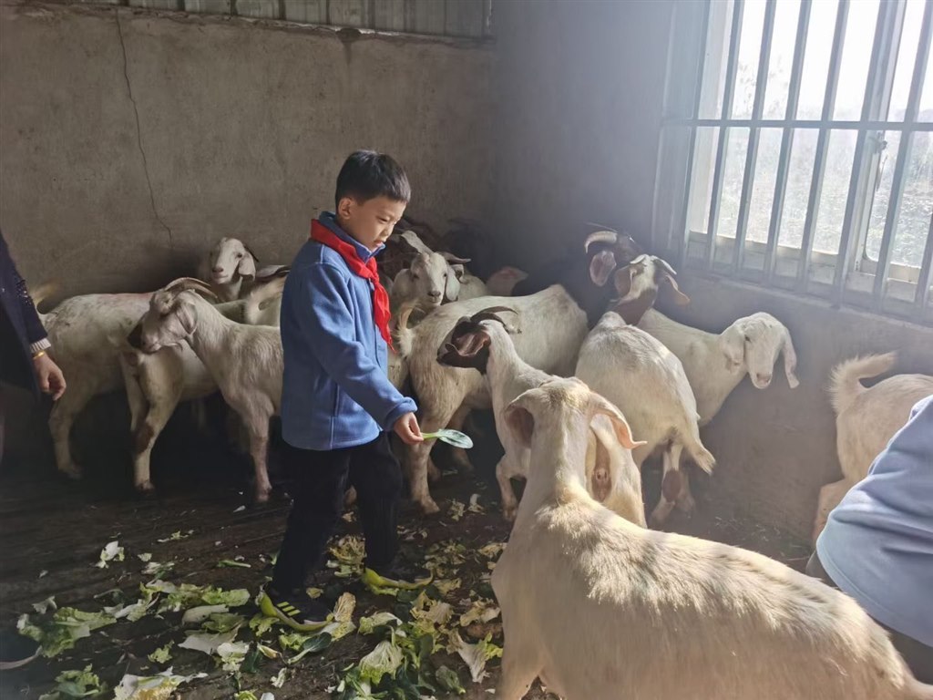 QQ图片20211125204403.jpg