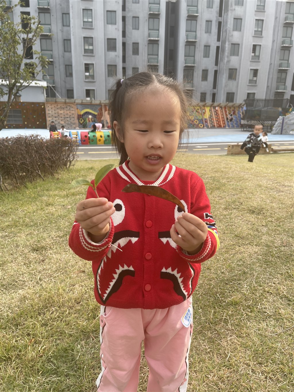 IMG_7687.JPG