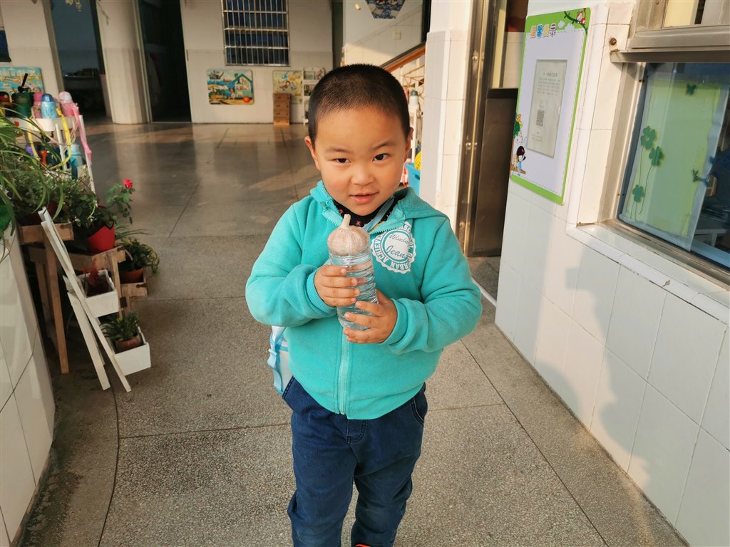水培1.jpg