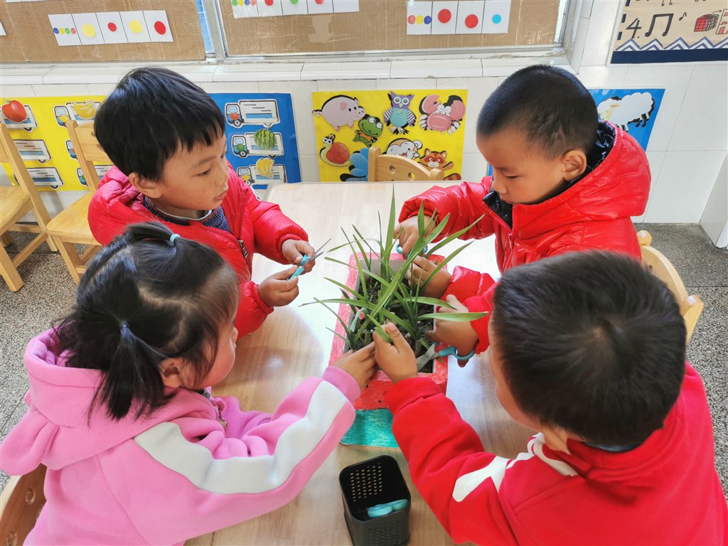 剪头发4.jpg
