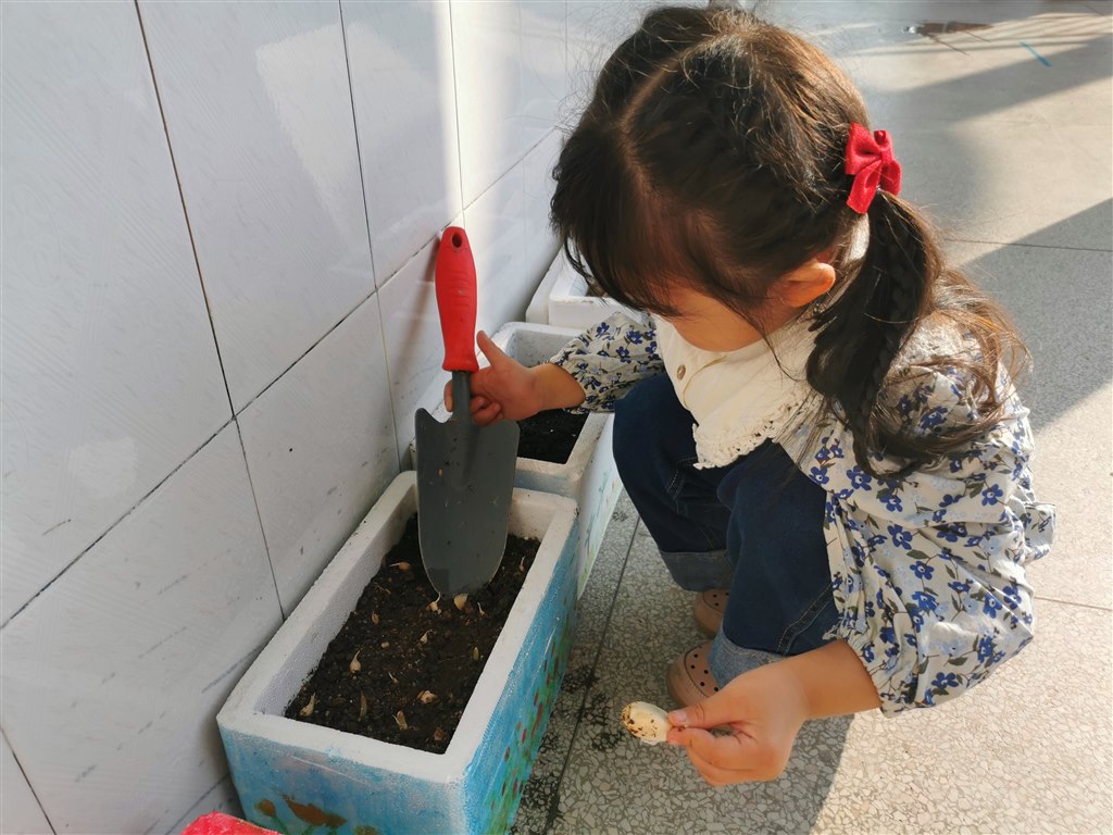种植步骤4.jpg