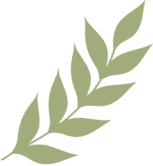 微信图片_20211209111340.png 微信图片_20211209111340.png