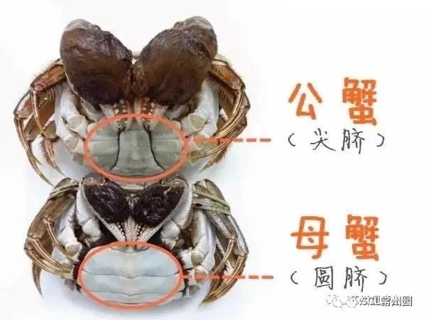 微信图片_20211210151123.jpg