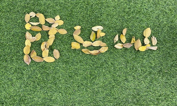 QQ图片20211207131540.jpg