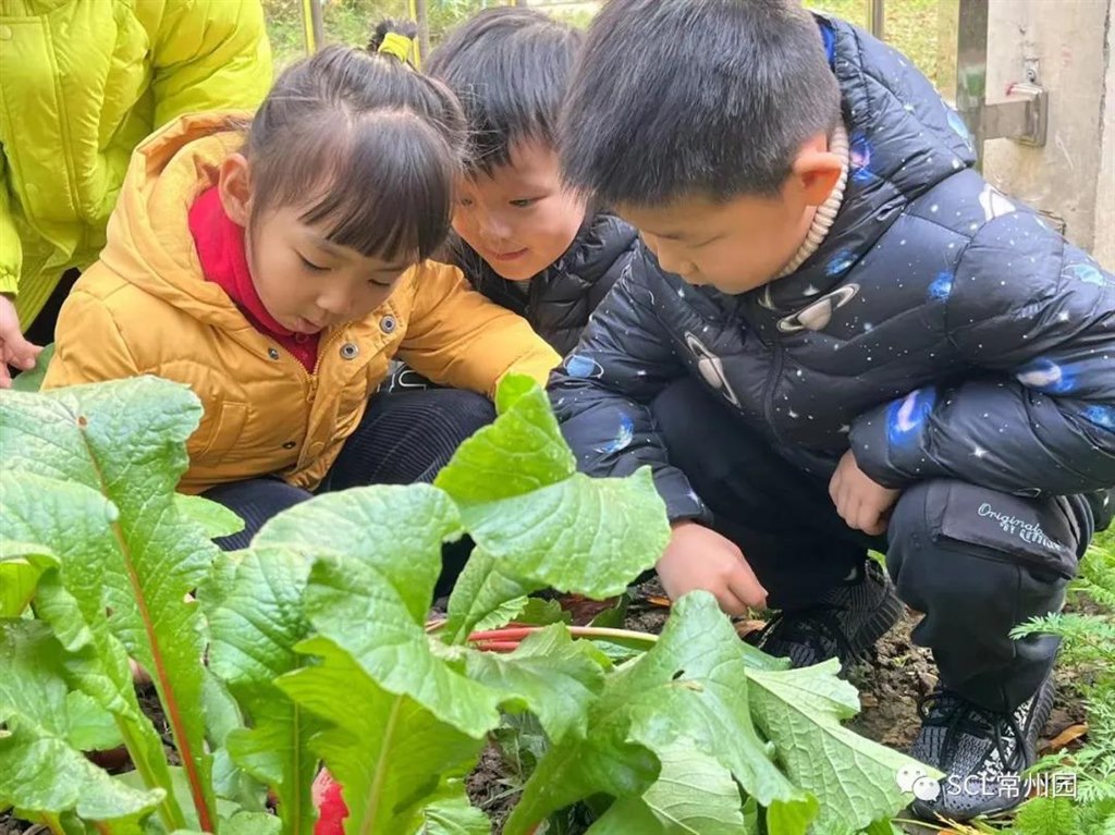 微信图片_20211215122053.jpg 微信图片_20211215122053.jpg