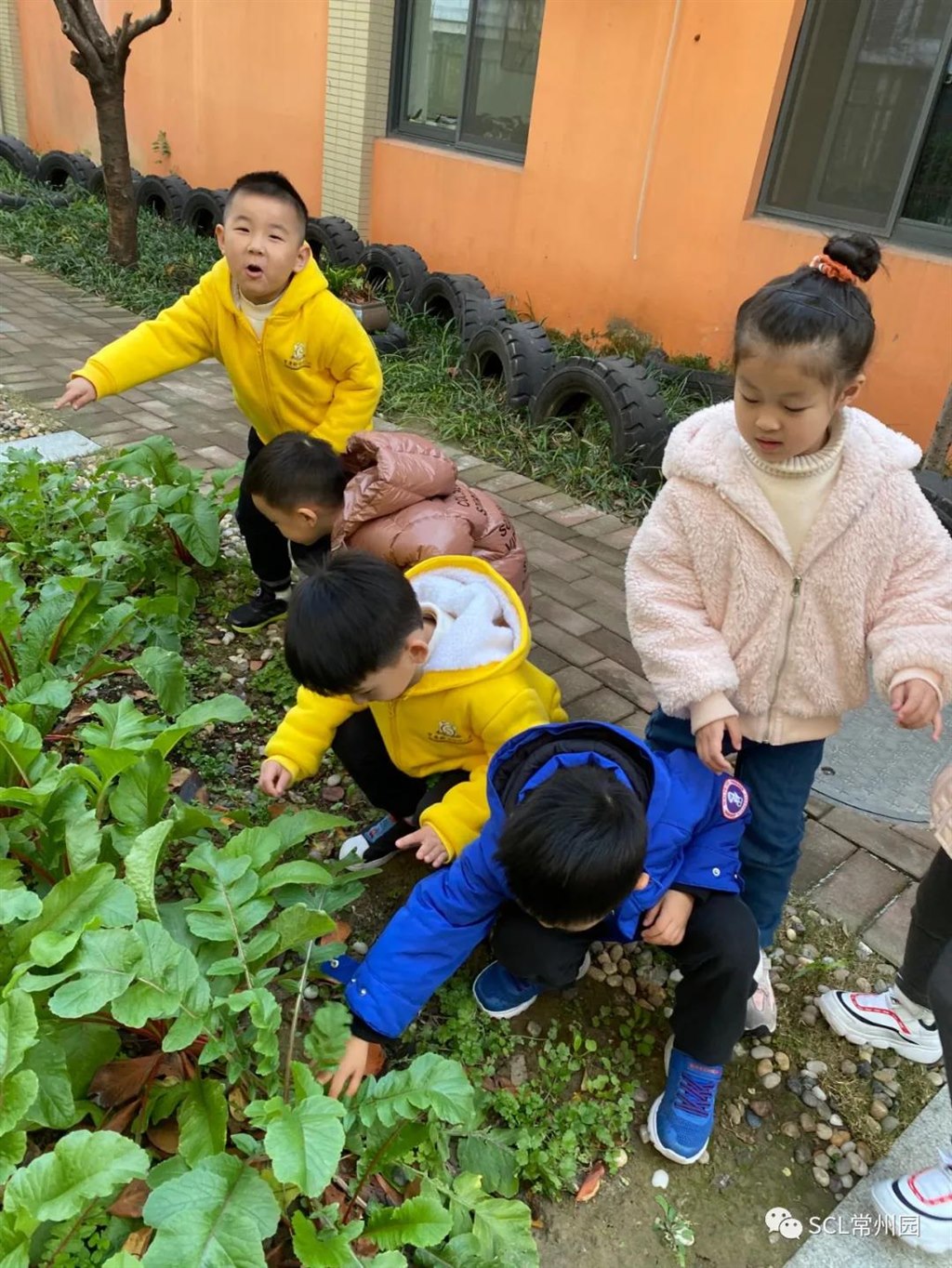 微信图片_20211215121732.jpg 微信图片_20211215121732.jpg