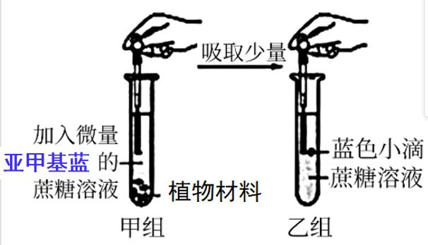 图片1.jpg