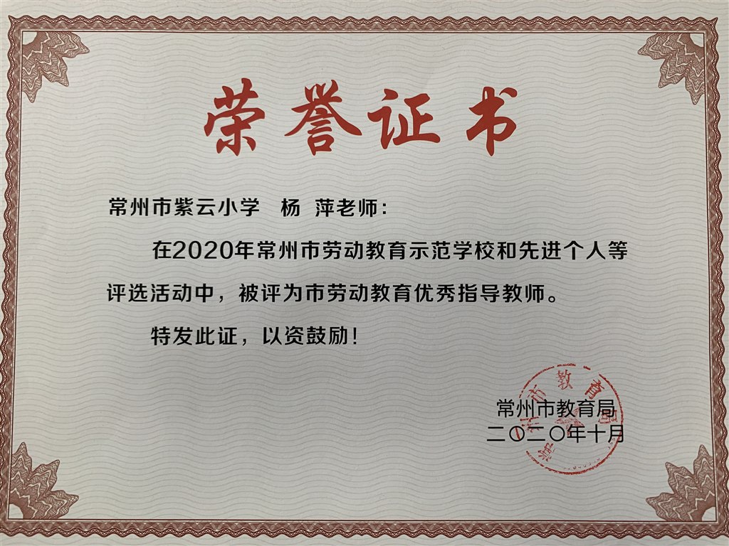 杨萍劳动教学优秀指导员.JPG