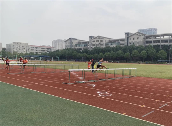 体育8.jpg