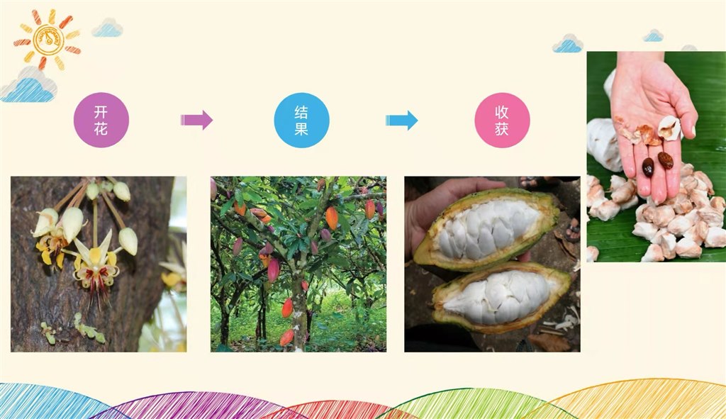 巧克力4.jpg