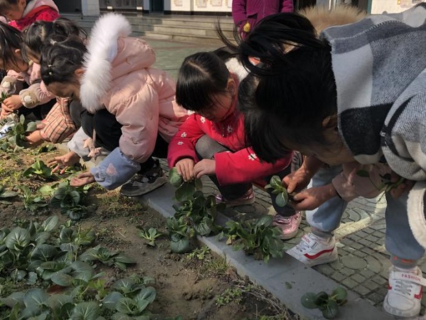 图片8.jpg