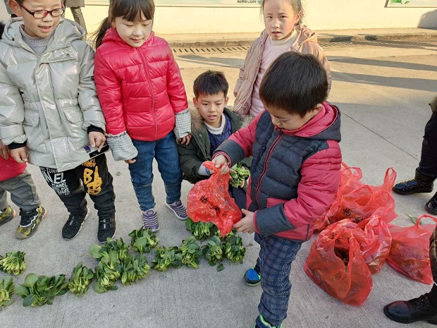 图片11.jpg
