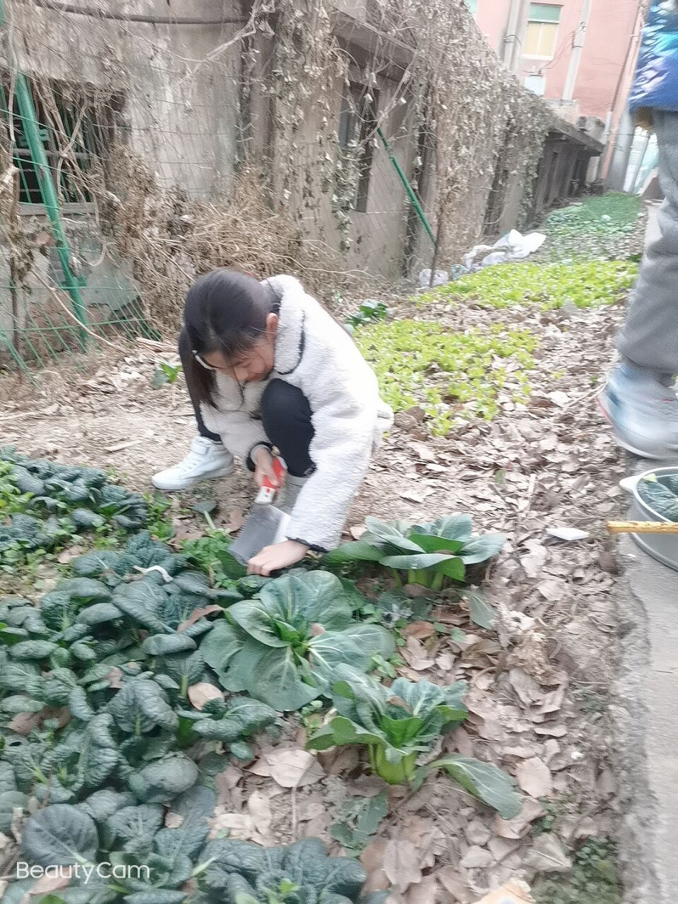 xiaoyuanwan-7604e61c45d17bcb.jpg