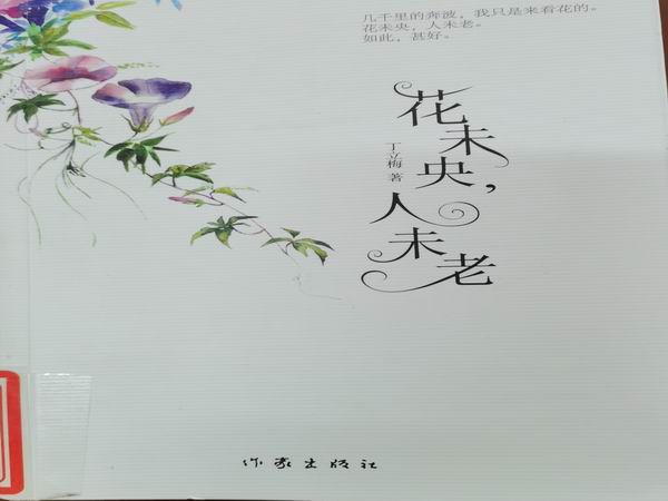 花未央人未老.jpg