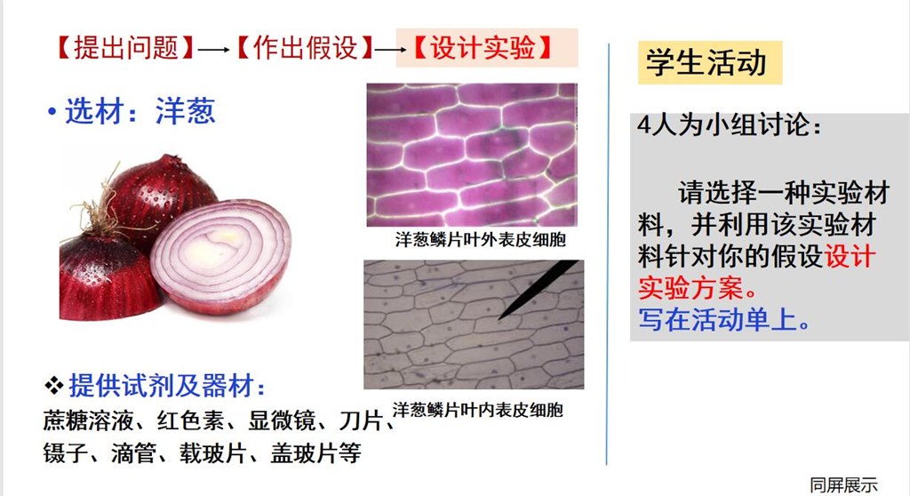 楚楚-1.jpg