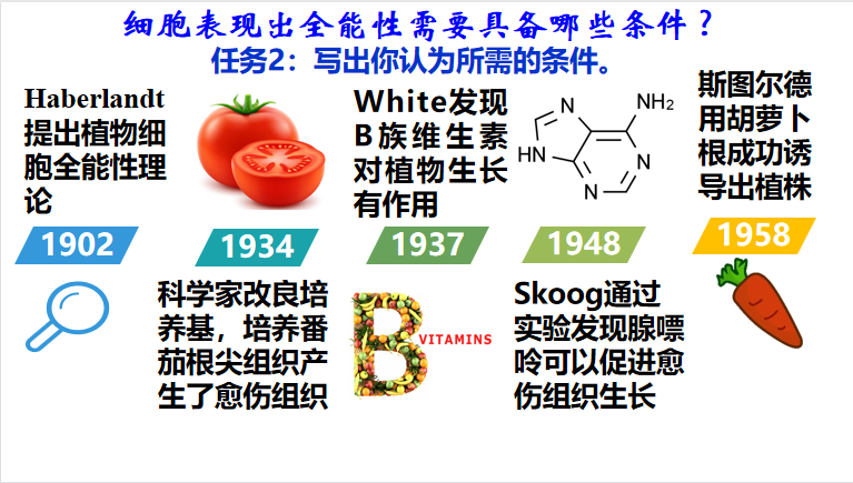 梦琦-2.png
