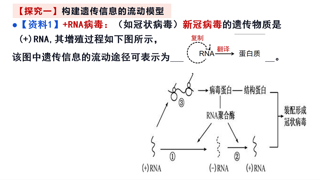 双双-1.png