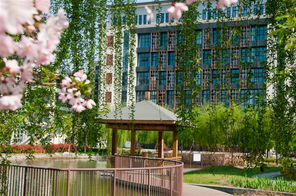 春景.jpg