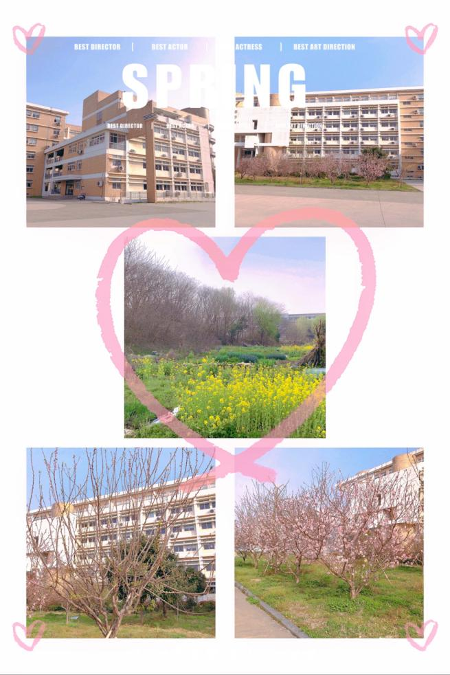 图片11.png