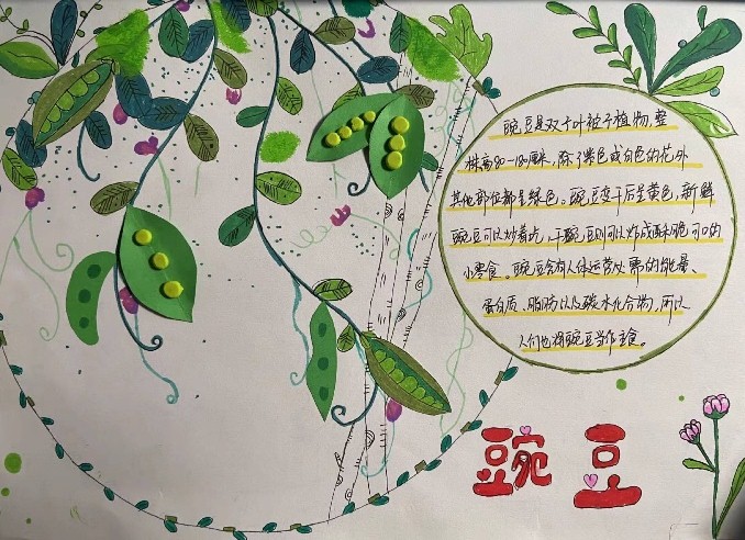 图6.png