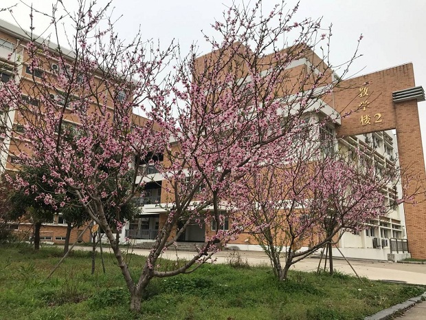 QQ图片20220323111011.jpg