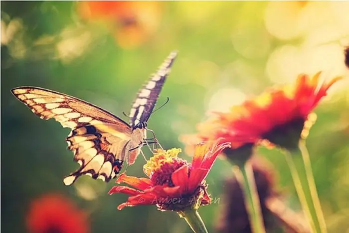 u=3261772734,287414086&fm=253&fmt=auto&app=138&f=JPEG.jpg