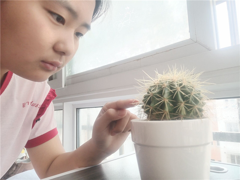 娟观植.jpg