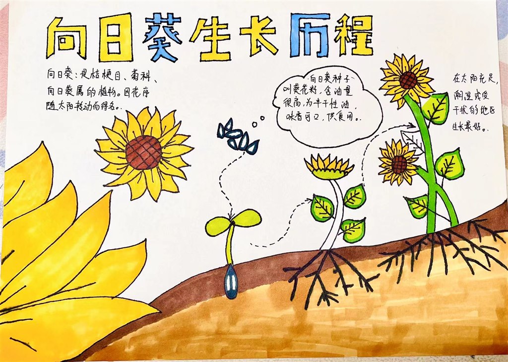 图11.JPG