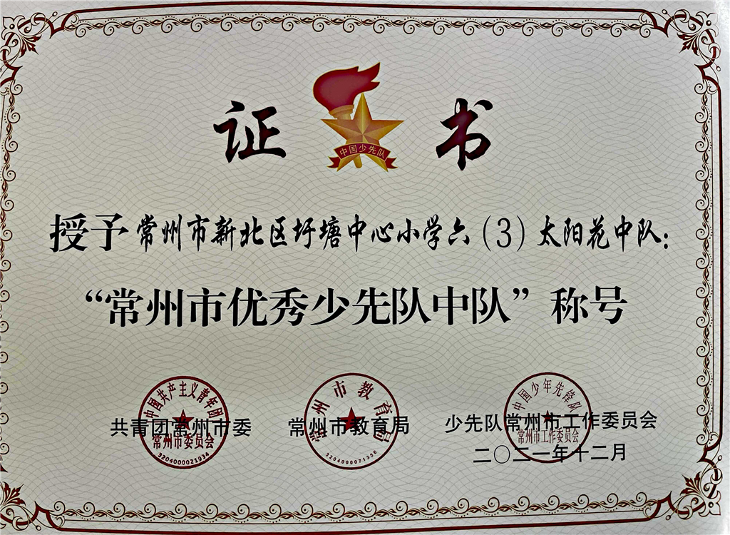 市优秀少先队.png