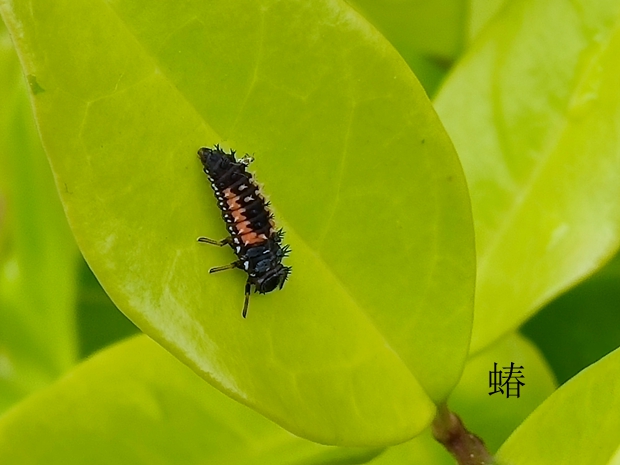 IMG_20220426_113242_副本.jpg