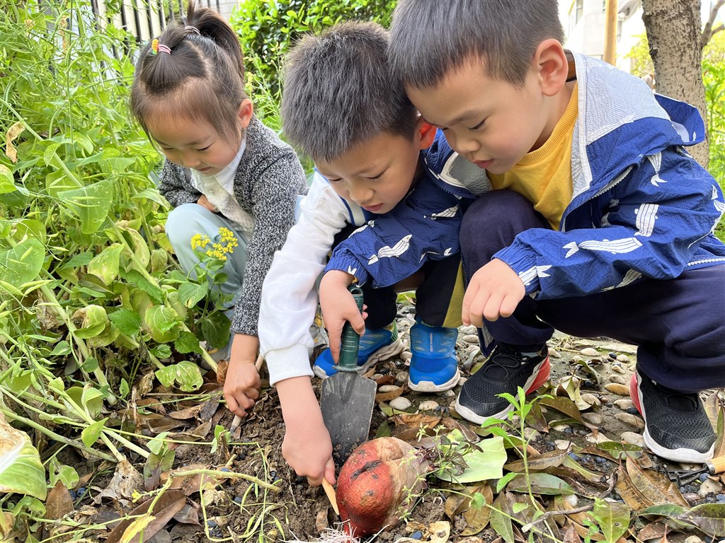 红梅幼3.jpg
